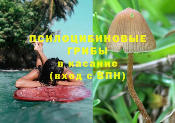 соль ск Богданович