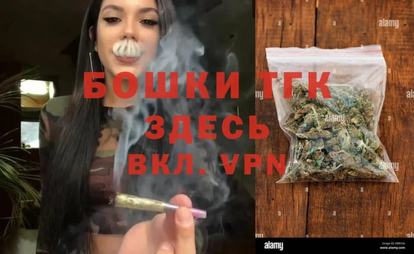 соль ск Богданович